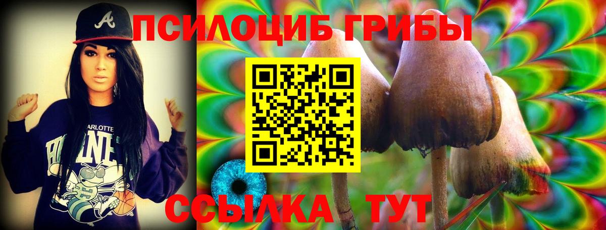 Галлюциногенные грибы MAGIC MUSHROOMS  Вход с VPN  Новошахтинск 