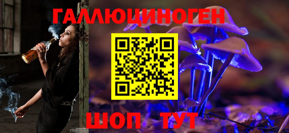 Псилоцибиновые грибы Psilocybine cubensis Новошахтинск